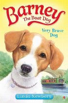 Very Brave Dog