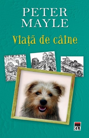 Viata de caine