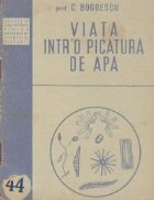 Viata intr\ picatura apa