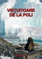 VIETUITOARE POLI jetoane