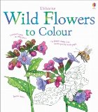 Wild flowers to colour