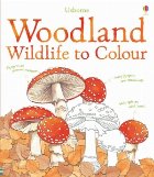 Woodland wildlife to colour