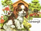 Zdreanta (Carte ilustrata color)
