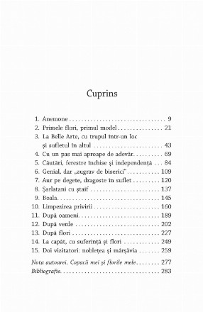 cuprins_1.jpg